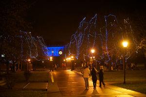 Stonehill Tree Lighting