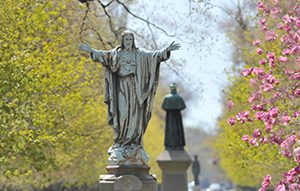 Sacred Heart of Jesus