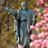 Sacred Heart of Jesus