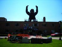 Villa Gorilla