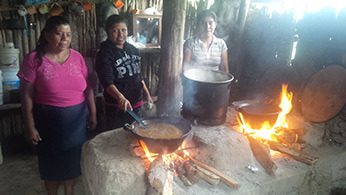Kitchen in Taman
