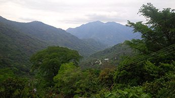Taman mountains