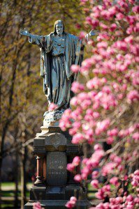 The Sacred Heart of Jesus