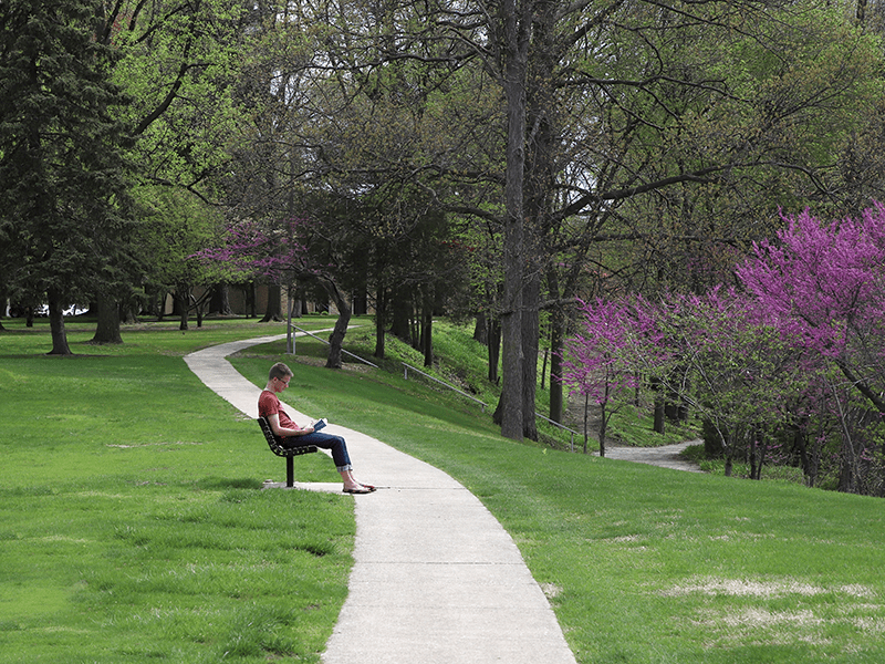 Boy reading on bench