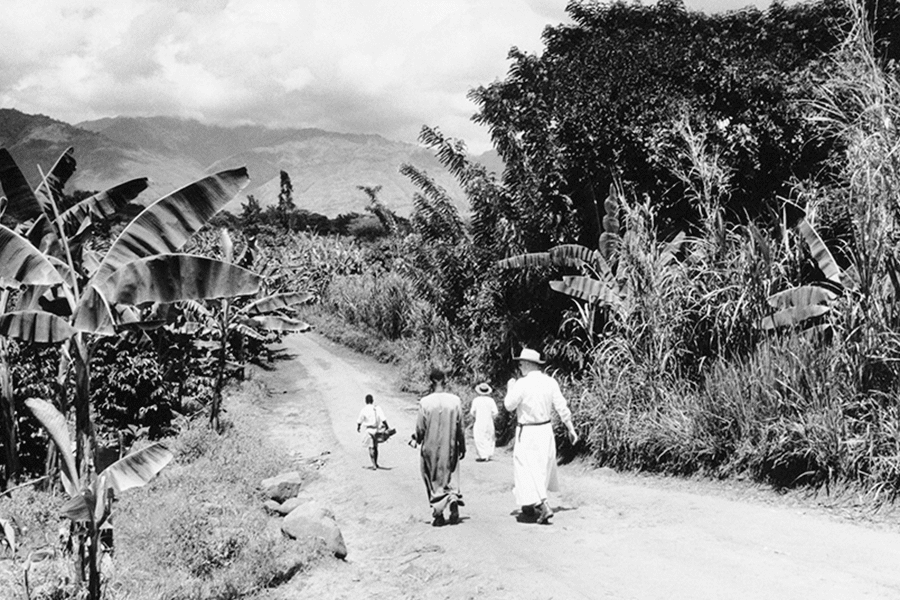 men walking down a path