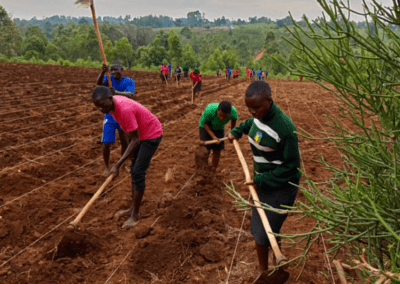 people tilling a field