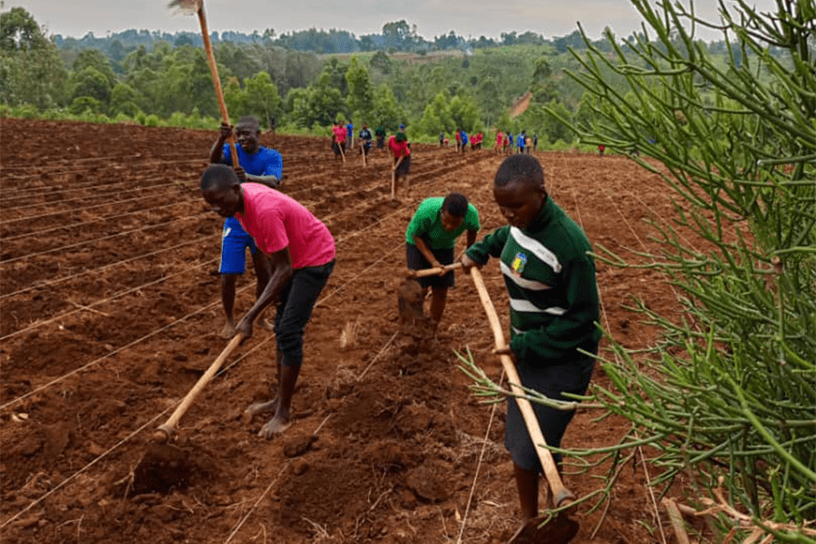 St. Joseph’s Hill Tree Planting Project Grows Deeper Roots